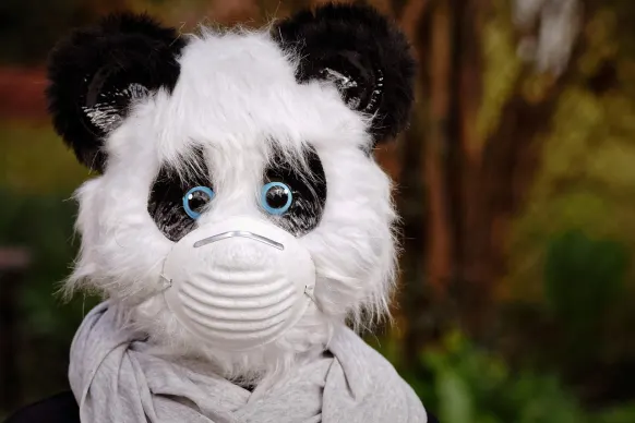 BitReels Casino Suporte